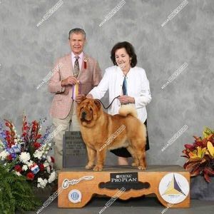 Meet your Posher, Doris